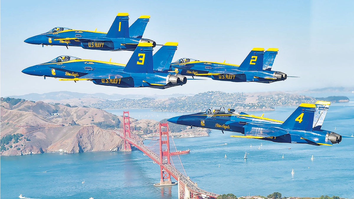 Angels Among Us: The Blue Angels