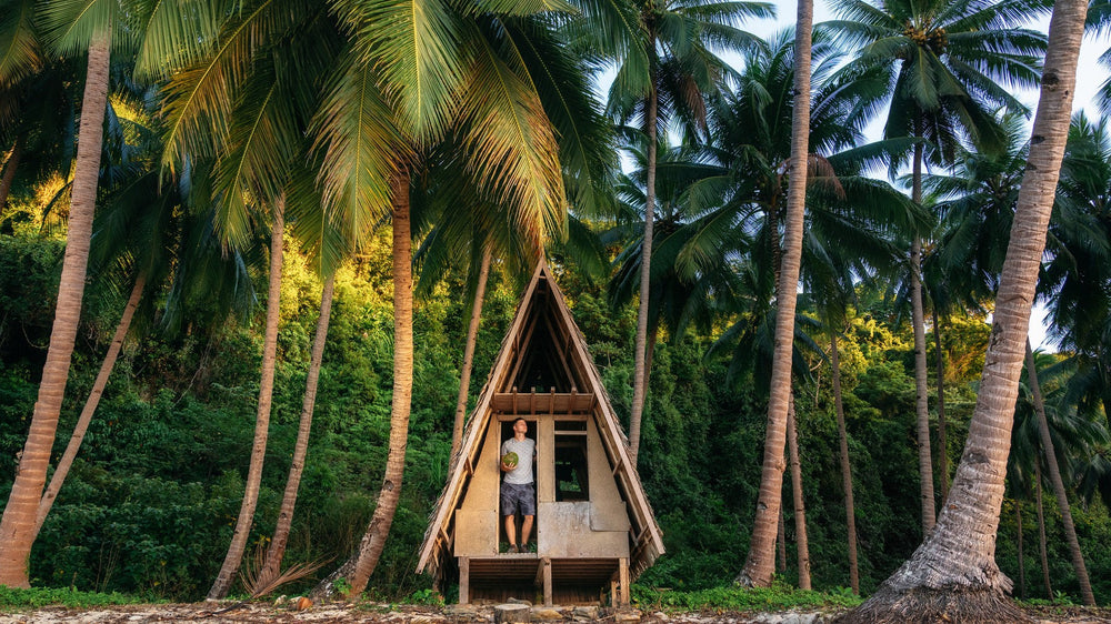 A palm-lined beach with a small A-frame hut