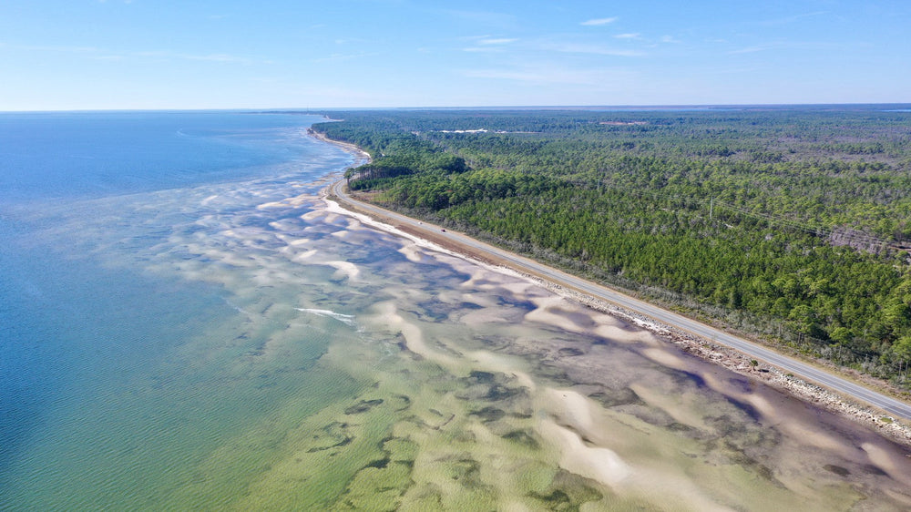 Aerial view of the coast at Tate's Hell State Forest