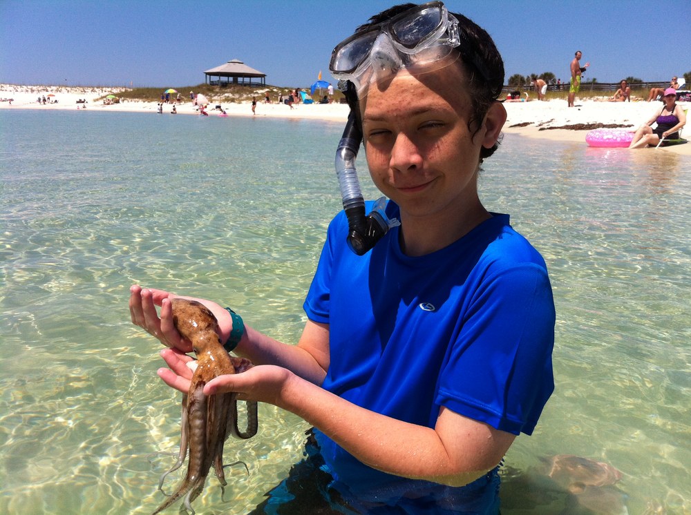 Boy in a snorkel mask holding an octopus in the shallows