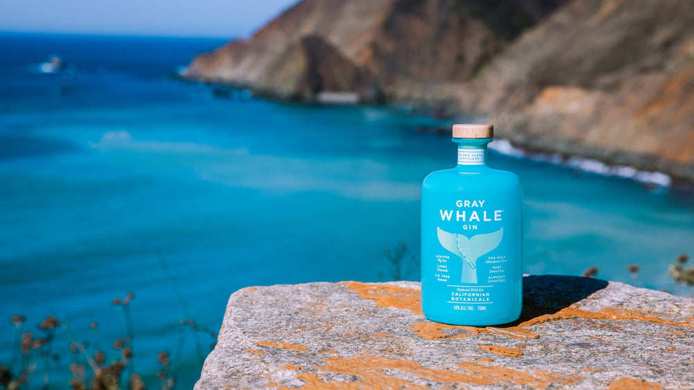 Bottle of Gray Whale Gin on a lichen-covered rock above the Pacific