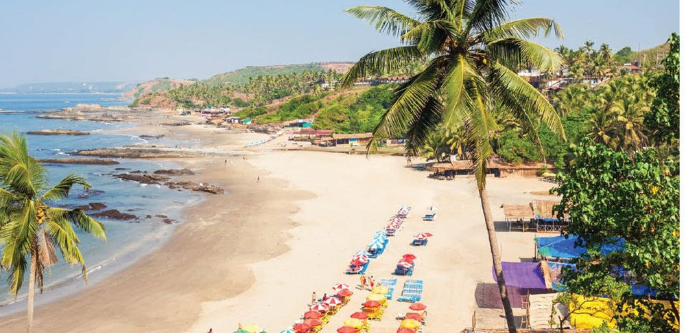 Seeking Susegad in Goa
