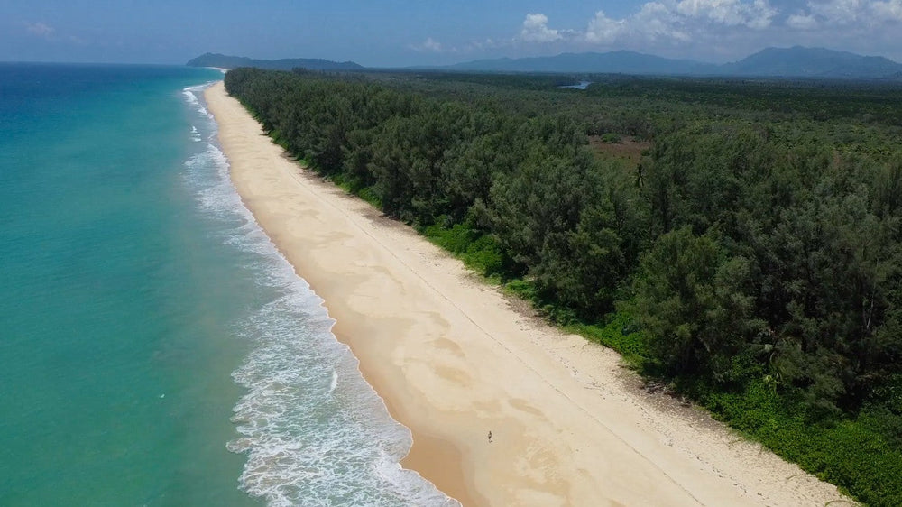 An aerial view of the long empty sweep of Natai Beach backed by dense palm forest