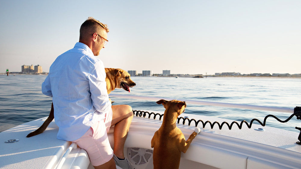 Brad Reese sitting on the bow of his boat with his dogs, the harbor behind him