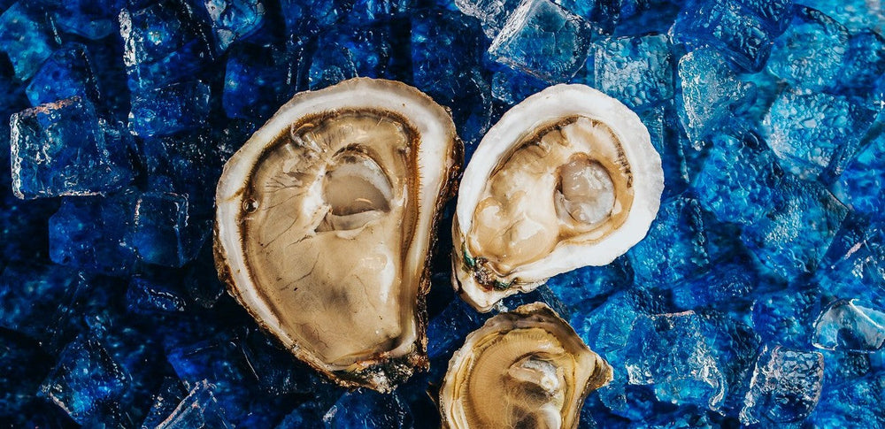 Shuck Yeah: Gulf Coast Oyster Farmers Change with the Tides