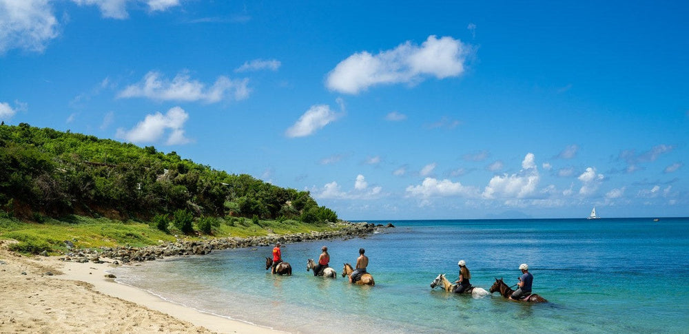 Sint Maarten: The Caribbean's Culinary Capital?