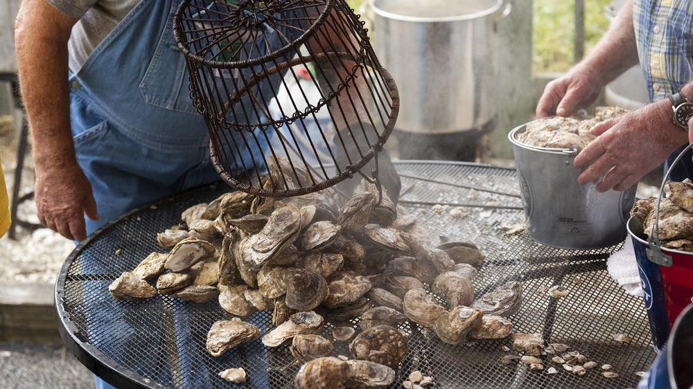 Oysters coming off the grill