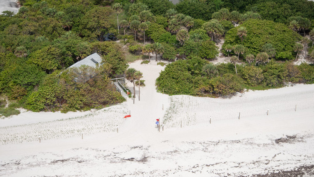 Aerial view of restored sand dunes at Dr. Von D. Mizell-Eula Johnson State Park