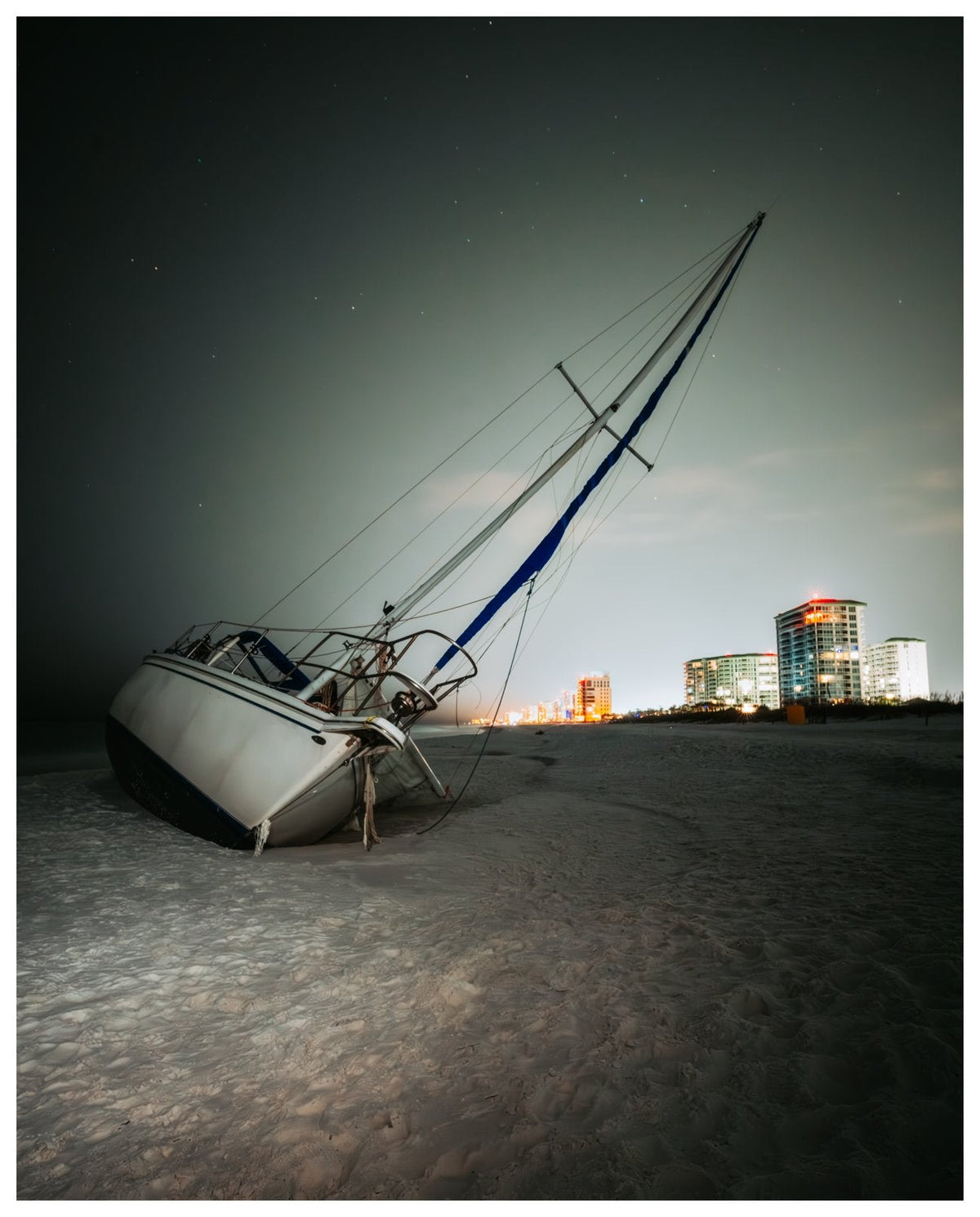 Coastal Cosmos