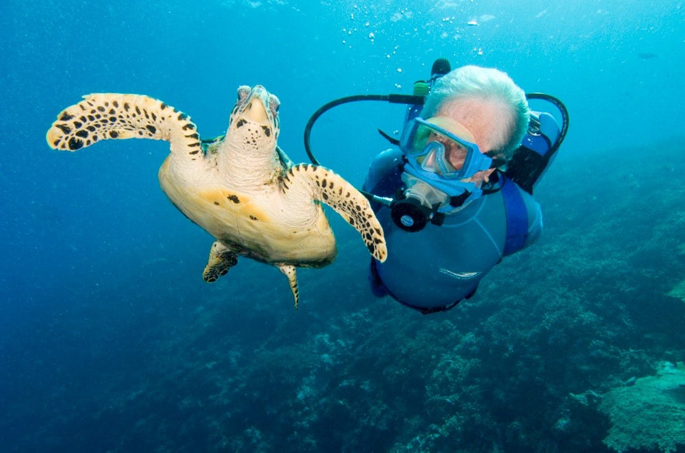 A diver swimming alongside a hawksbill turtle in clear blue water