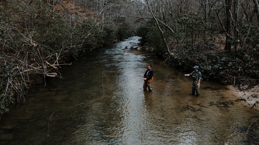 Fly fishing a trout stream near Blue Ridge, Georgia