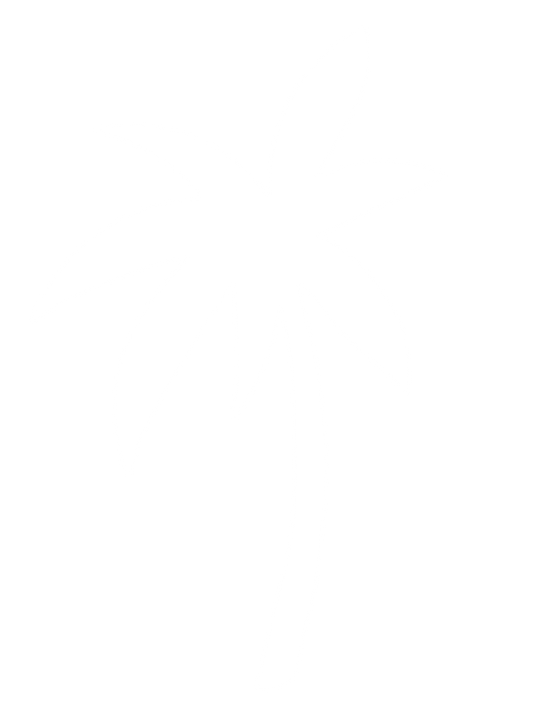 Beach Happy