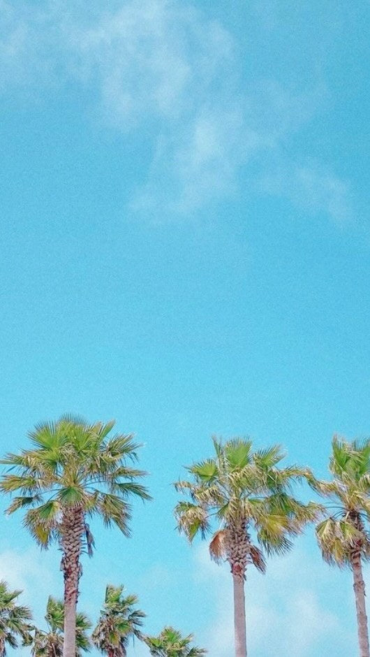 Beach Happy on Instagram