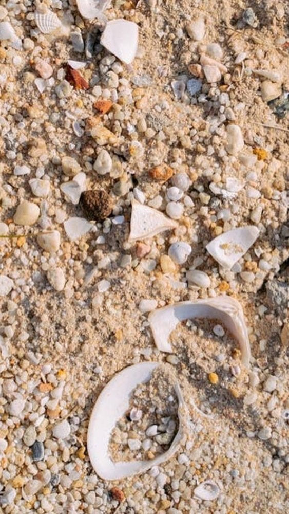 Beach Happy on Instagram